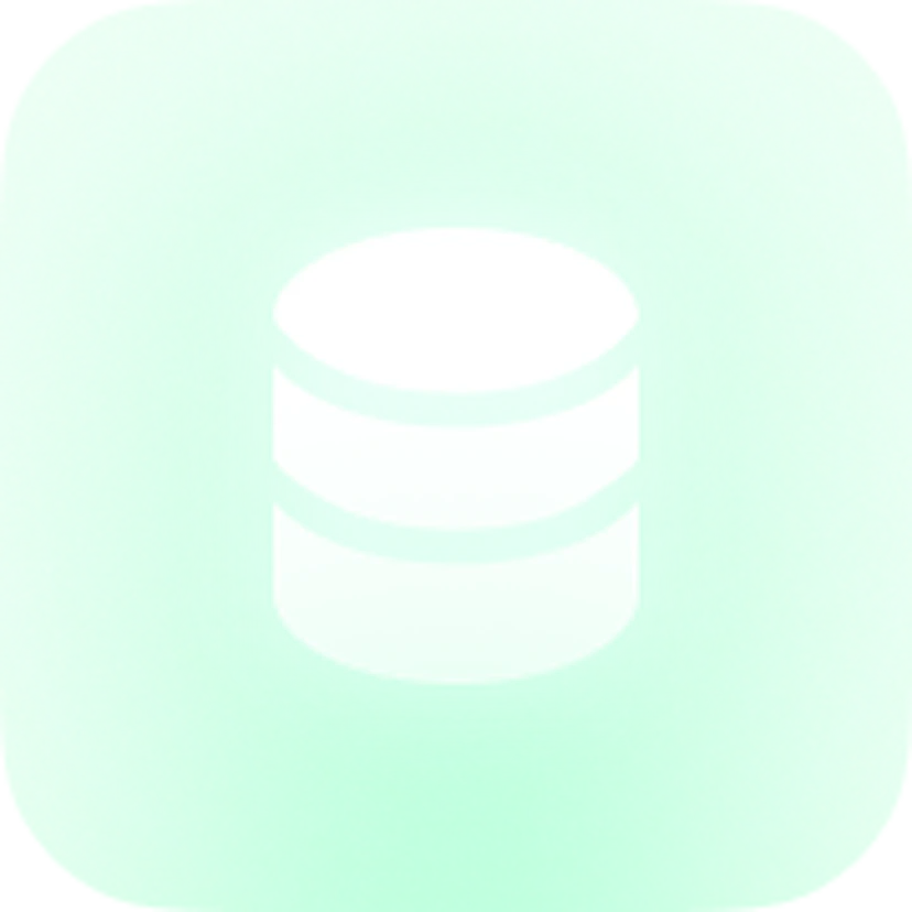 Data Integrity