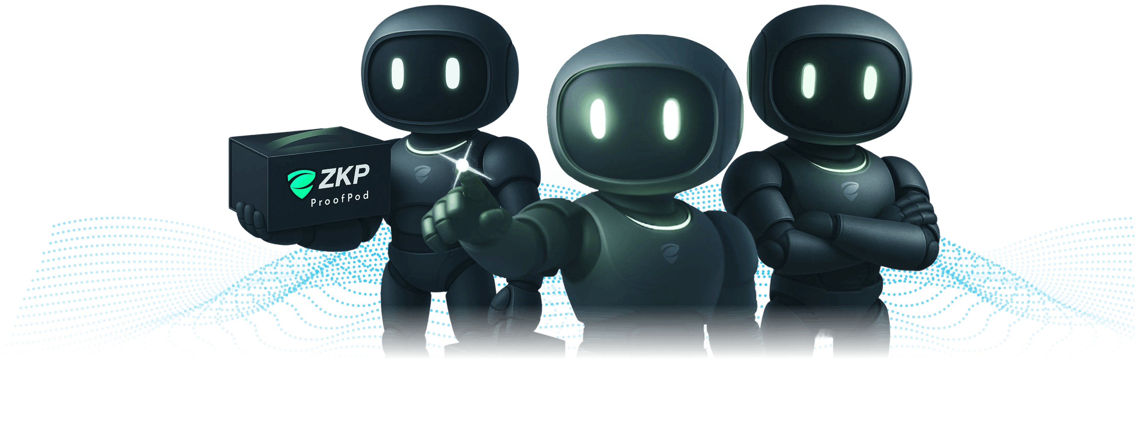 Zero Knowledge Proof (ZKP) | Layer 1 Crypto Presale Auction