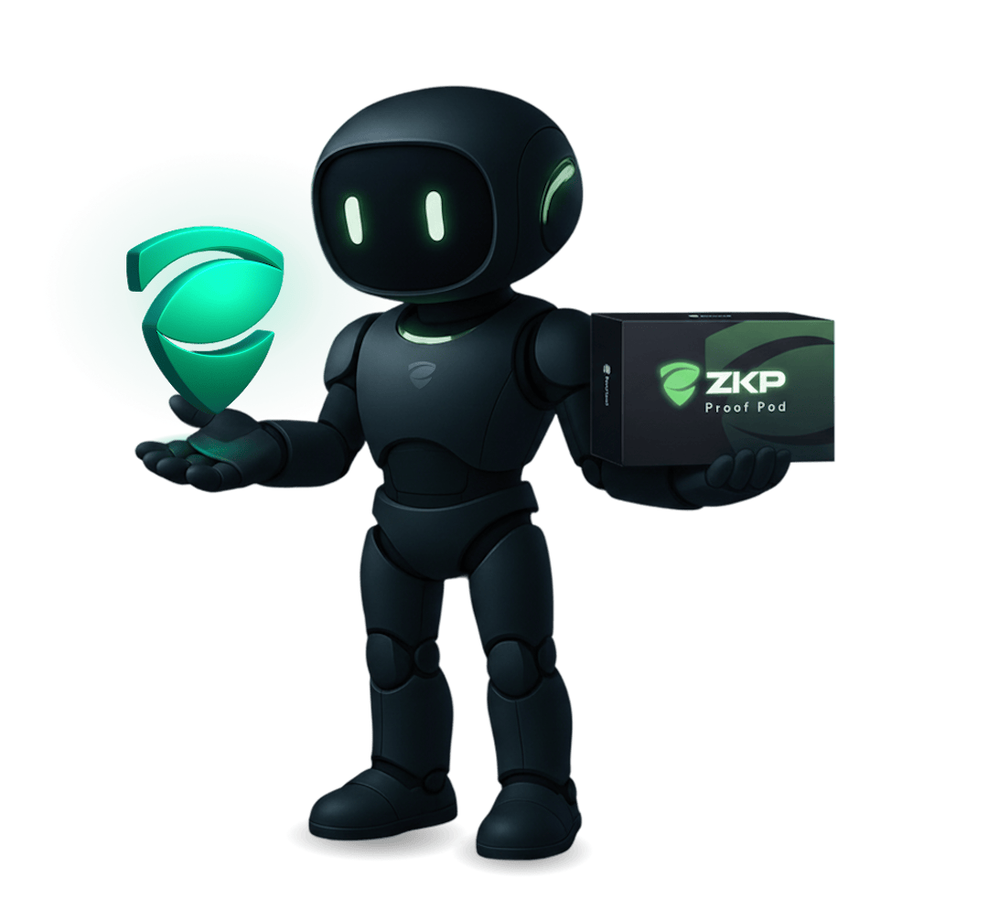 Zero Knowledge Proof DEX Guide